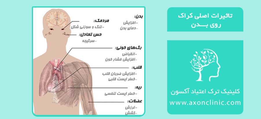 تاثیر کراک روی بدن